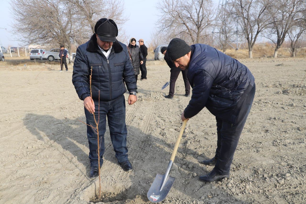 Жондор: “Яшил макон” умумиллий лойиҳаси доирасида “Маҳалла еттилиги боғи” ташкил қилинмоқда