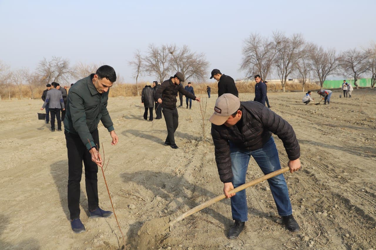 Жондор: “Яшил макон” умумиллий лойиҳаси доирасида “Маҳалла еттилиги боғи” ташкил қилинмоқда