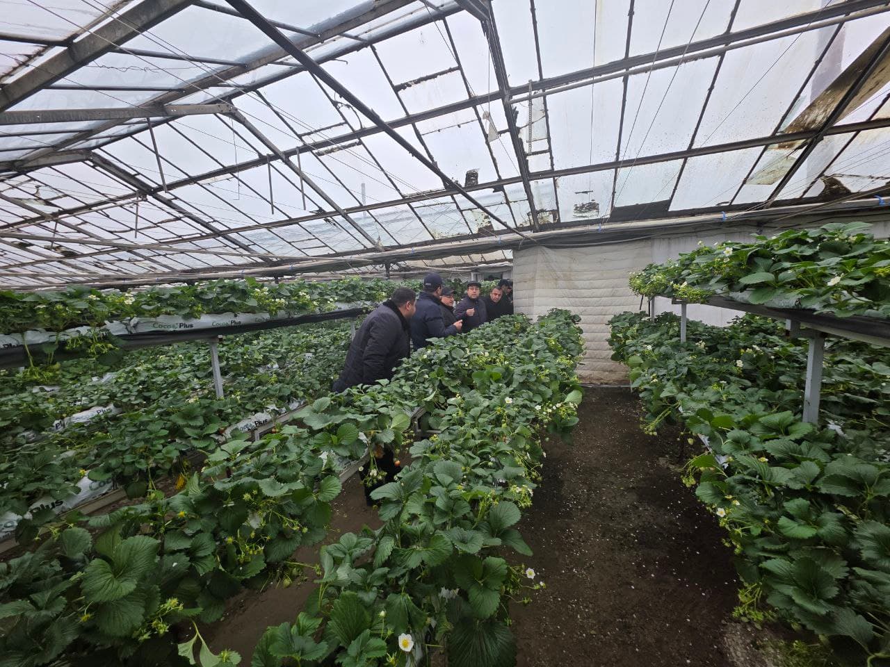 Ромитан: “Romstar”, “Muhammadzohid Azim Buxoro” каби корхоналарда бизнес лойиҳалари кўздан кечирилди