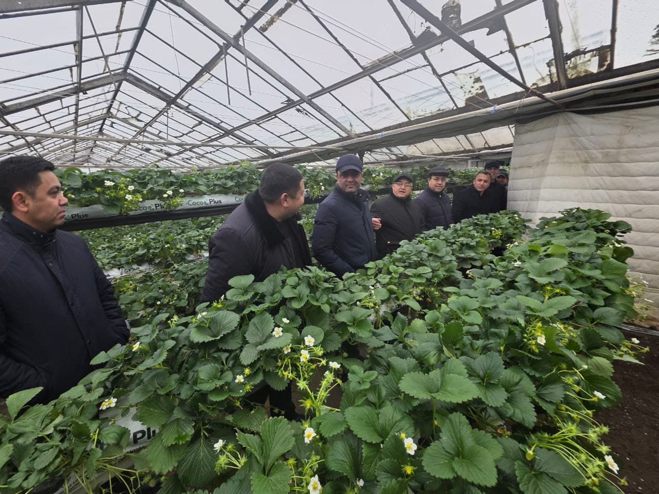 Ромитан: “Romstar”, “Muhammadzohid Azim Buxoro” каби корхоналарда бизнес лойиҳалари кўздан кечирилди