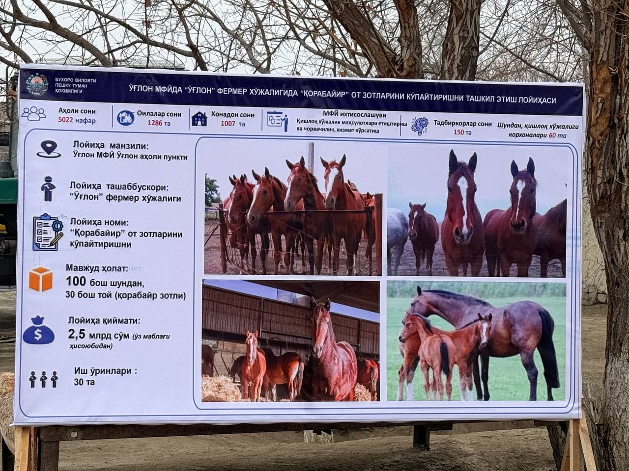 Пешку: “Bukhara Best Builder” МЧЖ ва “Ўғлон” фермер хўжалигида истиқболли бизнес лойиҳалари ривожлантирилмоқда