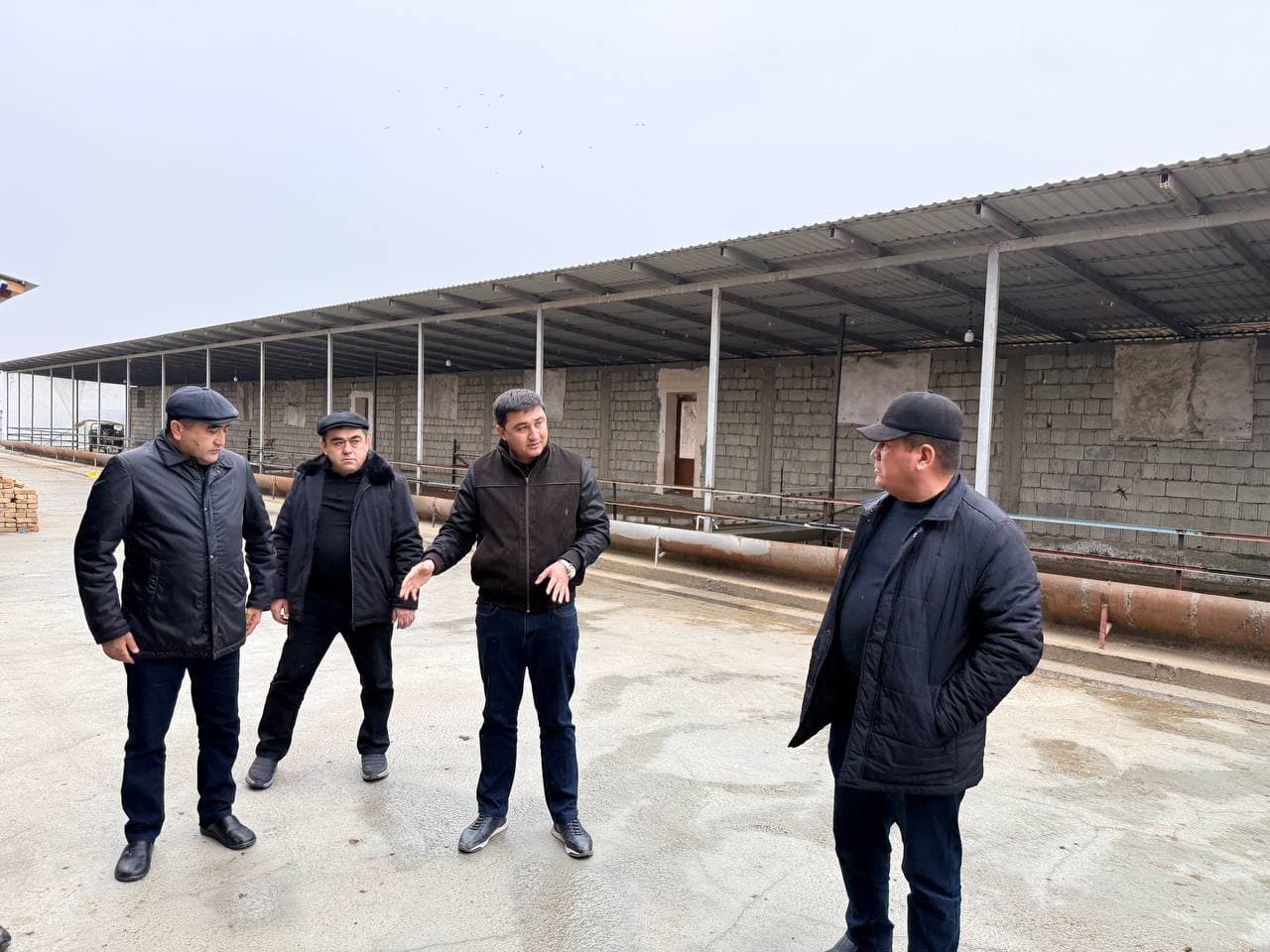 Peshku: "Navbahor" mahallasida Sharipovlar uy xoʻjaligida qoʻychilik rivojlantirilmoqda