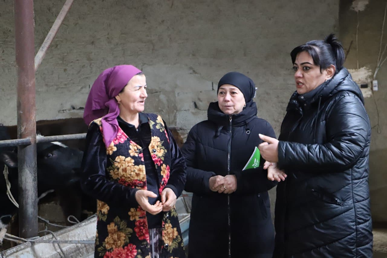 Shofirkon: tomorqa yer, dehqonchilik, chorva parvarishi va asalarichilikdan yaxshigina daromad olinmoqda