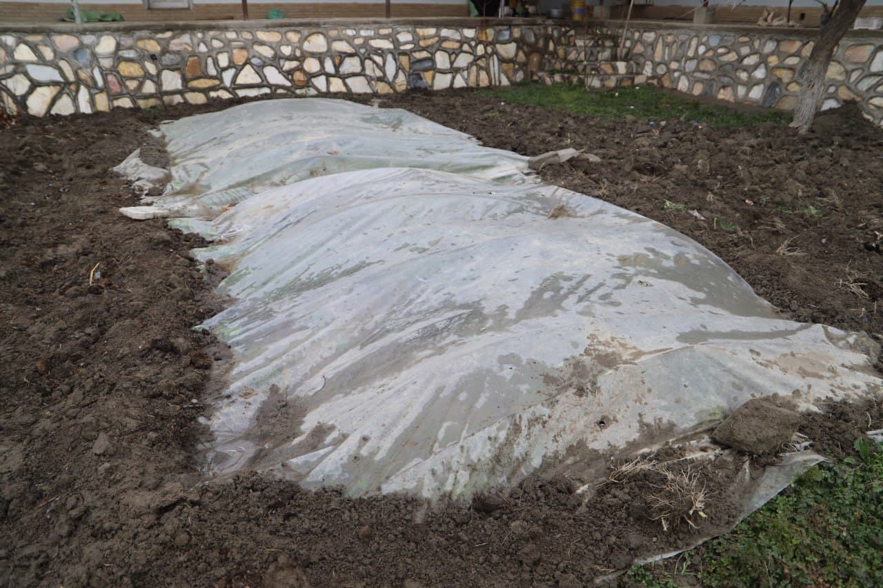 Shofirkon: tomorqa yer, dehqonchilik, chorva parvarishi va asalarichilikdan yaxshigina daromad olinmoqda