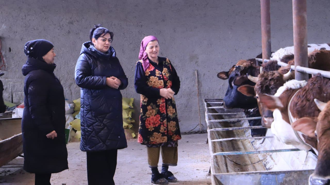 Shofirkon: tomorqa yer, dehqonchilik, chorva parvarishi va asalarichilikdan yaxshigina daromad olinmoqda