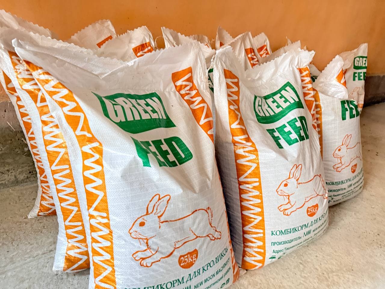 Peshku: “Yangibozor”da Nasriddinovlar xonadonida nasldor quyon soni 200 boshga yetkazildi