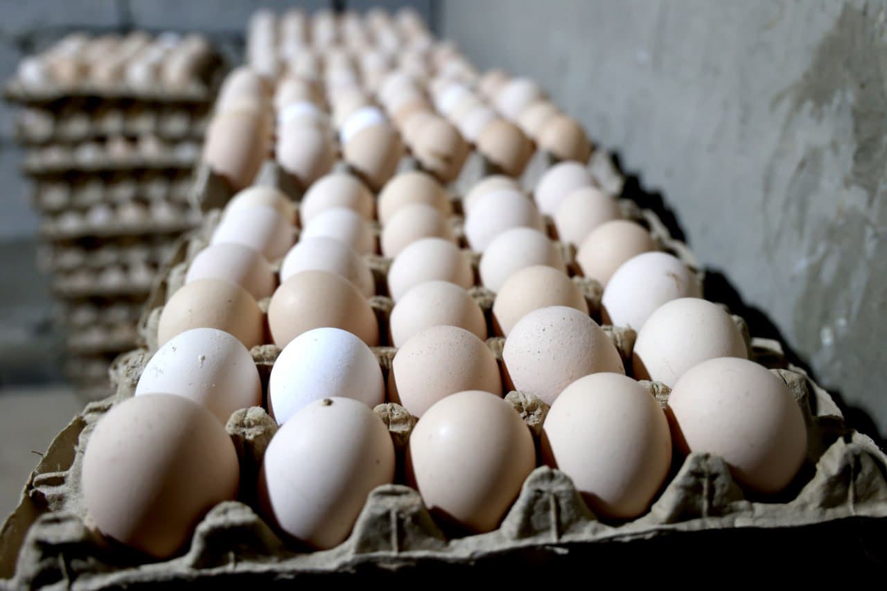 Ғиждувон: ижтимоий “оғир” маҳаллаларда “Янги Ўзбекистон” қиёфасини шакллантириш ишлари изчил бормоқда