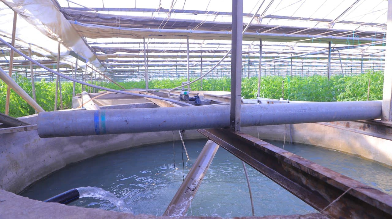 Қоракўл: «Обод турмуш замини» иссиқхоначилик фаолиятини кенгайтирмоқда