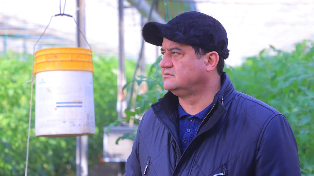 Қоракўл: «Обод турмуш замини» иссиқхоначилик фаолиятини кенгайтирмоқда