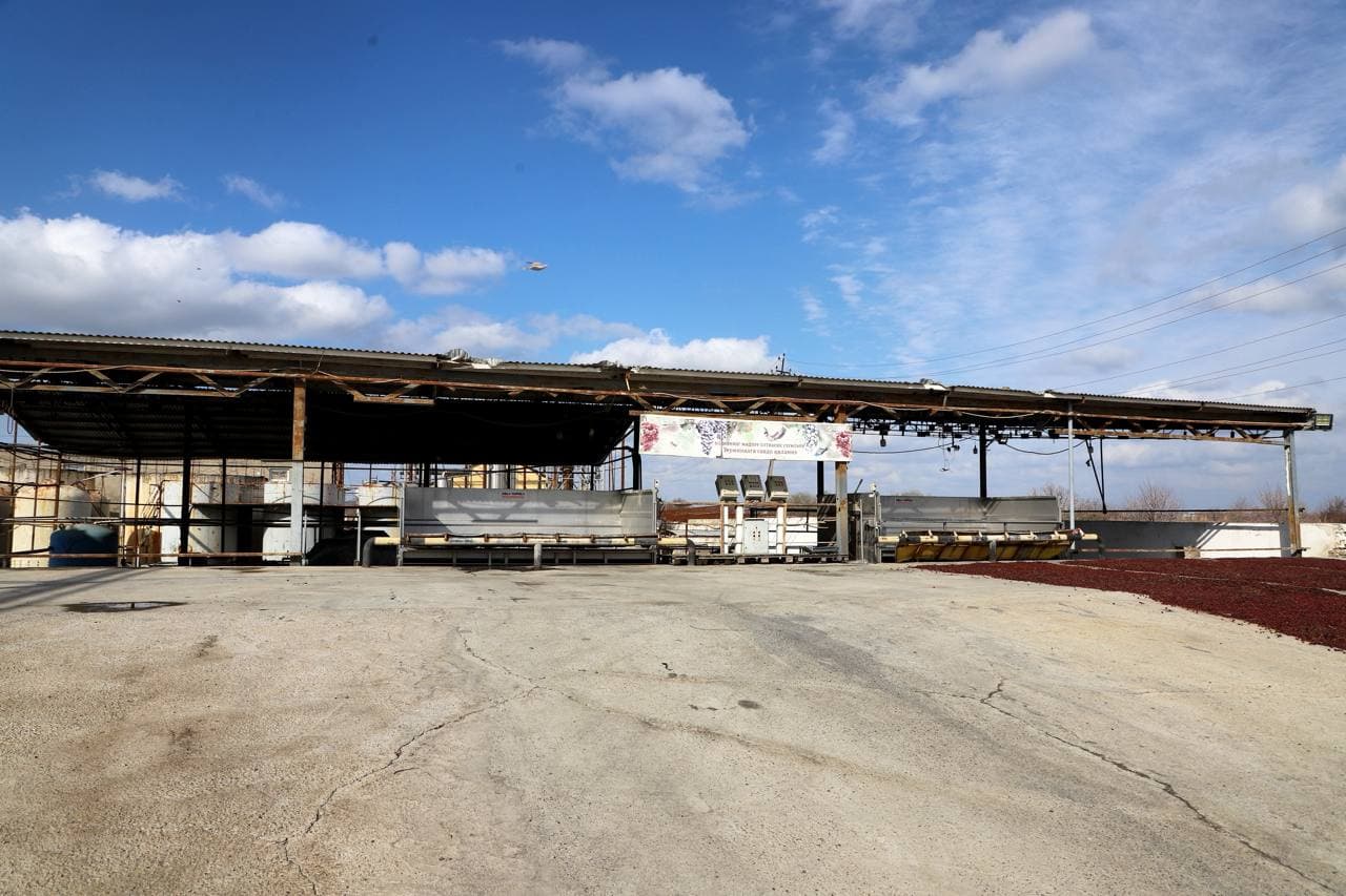 Buxoro tumanida zamonaviy agrosanoat majmuasi va enoturizm markazi barpo etilmoqda