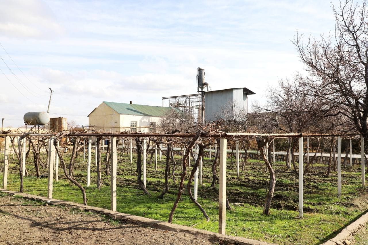 Buxoro tumanida zamonaviy agrosanoat majmuasi va enoturizm markazi barpo etilmoqda