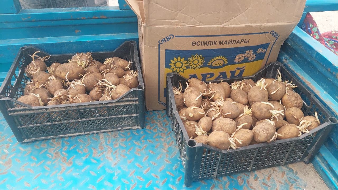 Когон: Фозиловлар хонадони учун ҳам томорқа ва паррандачилик—фаровонлик омили