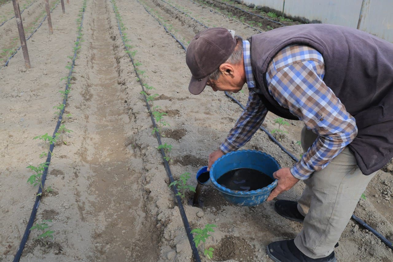 Kogon: Joʻrayevlar uy xoʻjaligida tomorqadan yilda uch marta hosil olinmoqda