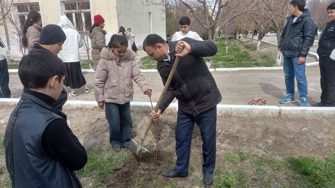 Jondor: koʻchat oʻtqazish, koʻkalamzorlashtirish har bir koʻcha va mahalla boʻylab davom etadi