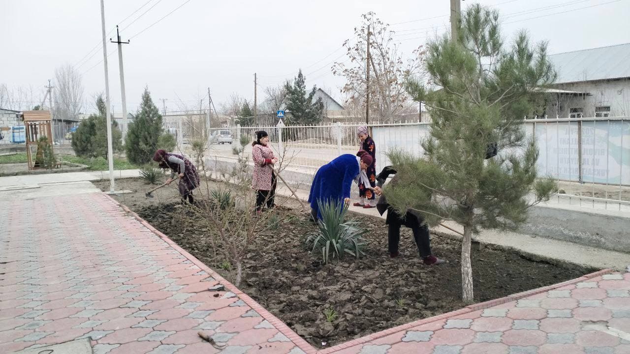 Jondor: koʻchat oʻtqazish, koʻkalamzorlashtirish har bir koʻcha va mahalla boʻylab davom etadi