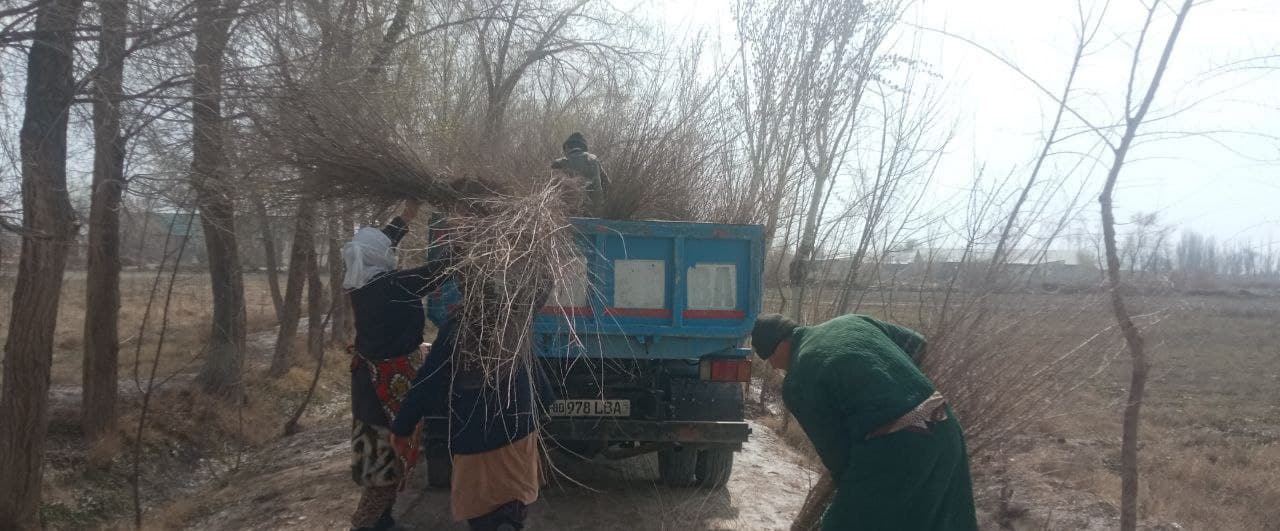 Jondor: koʻchat oʻtqazish, koʻkalamzorlashtirish har bir koʻcha va mahalla boʻylab davom etadi