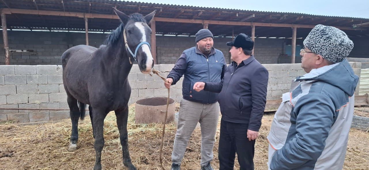 Қоровулбозор: Рустам Муҳаммадиевнинг оилавий чорвачилик фаолияти икки бош қорамолдан бошланган