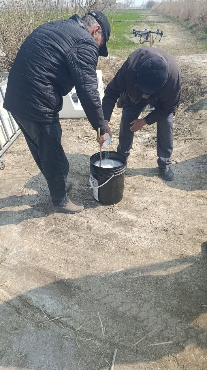 Peshku: “Buxoro Servis Agroklaster” MCHJ 250 gektar maydonda g‘alla yetishtirmoqda