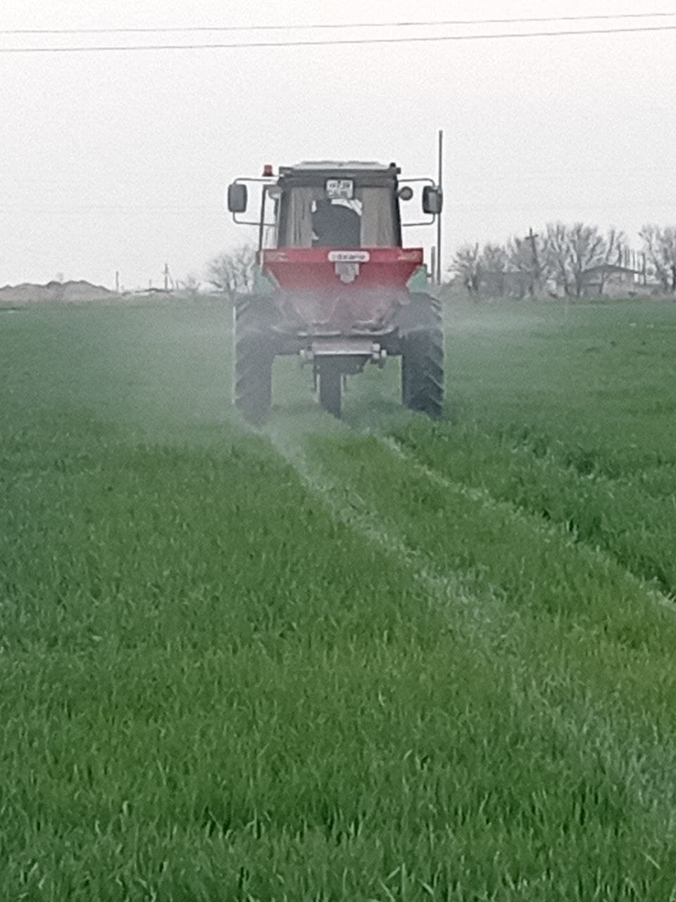 Peshku: “Buxoro Servis Agroklaster” MCHJ 250 gektar maydonda g‘alla yetishtirmoqda