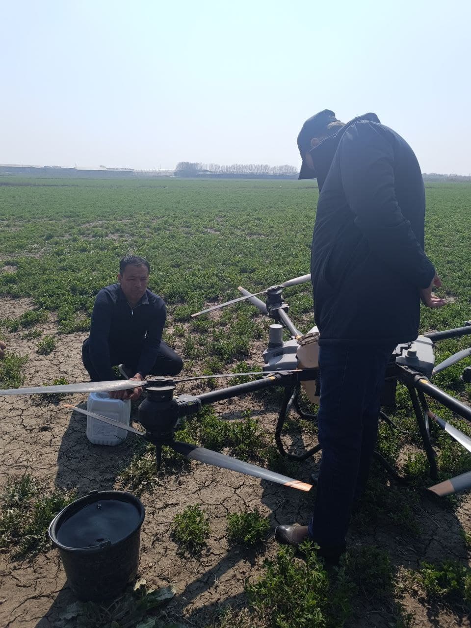 Peshku: “Buxoro Servis Agroklaster” MCHJ 250 gektar maydonda g‘alla yetishtirmoqda