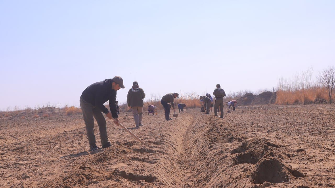 Qorakoʻl: mahallalarda tutzor barpo etib, ham sabzavot yetishtirib, daromad olish imkoniyati yaratilmoqda