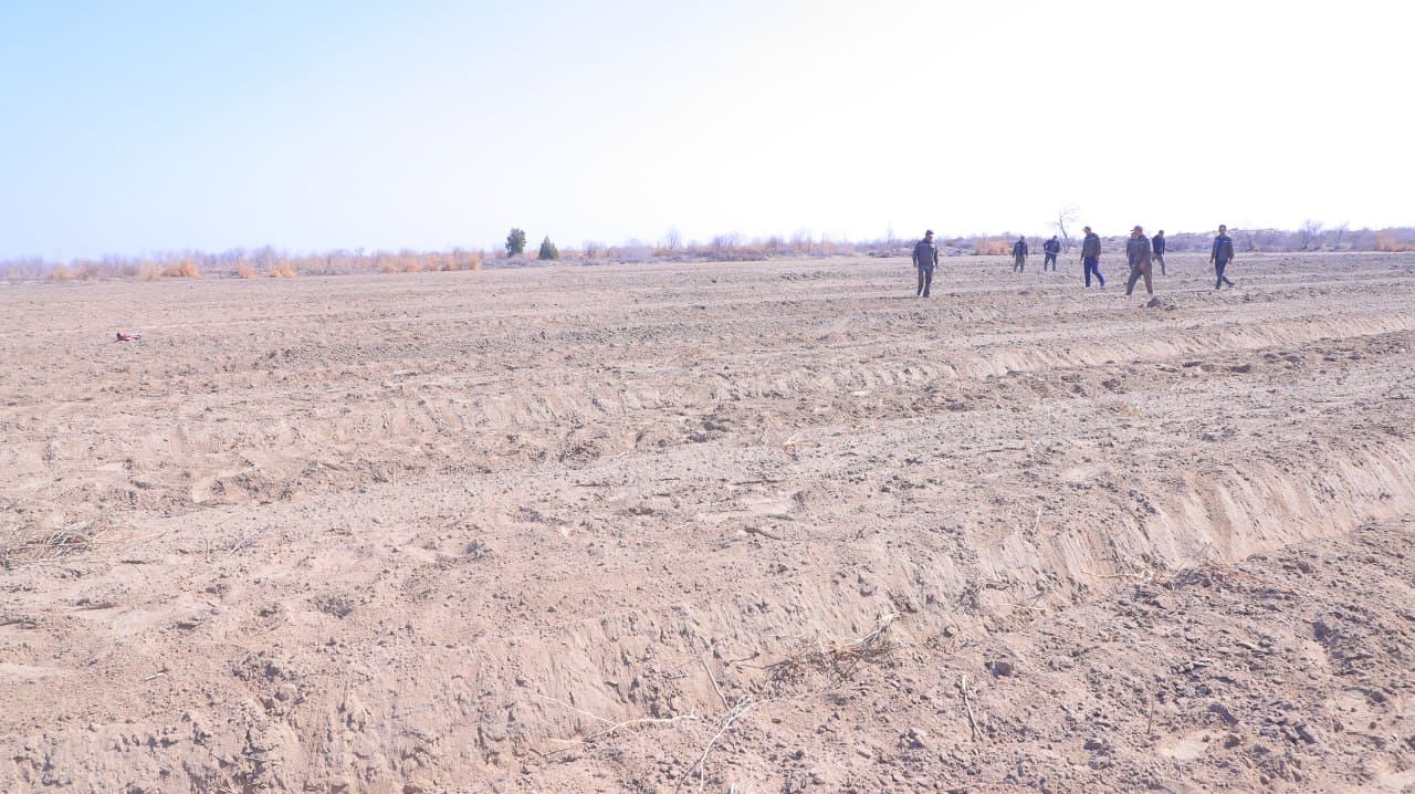 Qorakoʻl: mahallalarda tutzor barpo etib, ham sabzavot yetishtirib, daromad olish imkoniyati yaratilmoqda