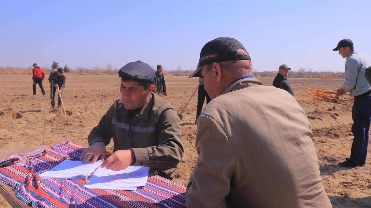 Qorakoʻl: mahallalarda tutzor barpo etib, ham sabzavot yetishtirib, daromad olish imkoniyati yaratilmoqda