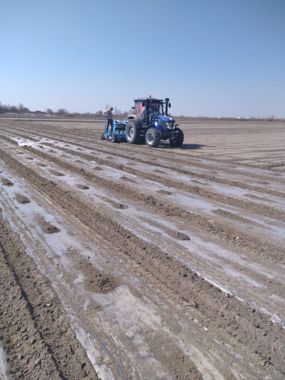 Jondor: “Bahodir Bekzod Asadbek” va boshqa fermer xoʻjaliklarida chigit ekish ishlari avjida