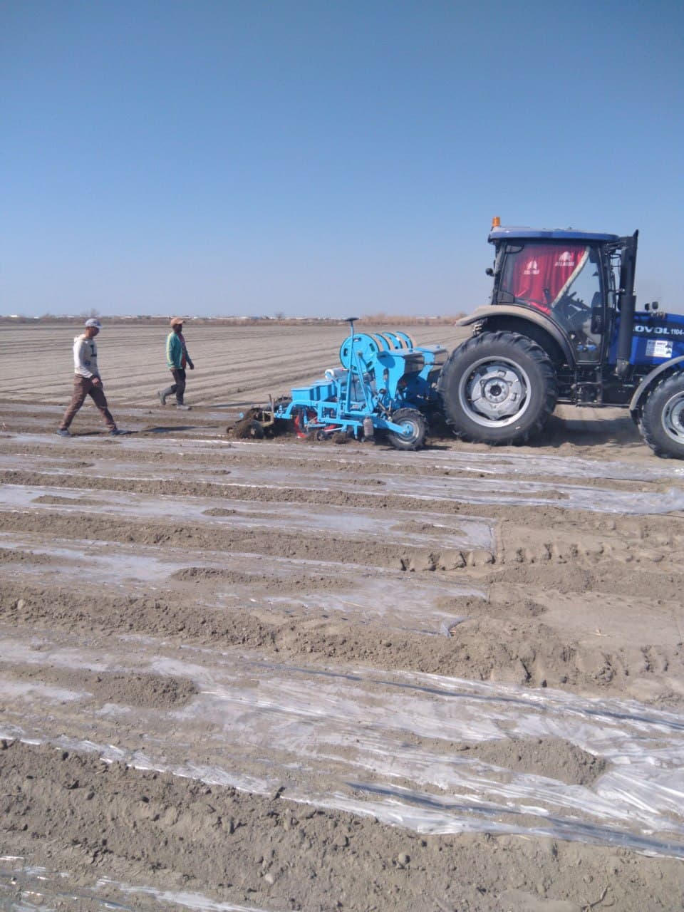 Jondor: “Bahodir Bekzod Asadbek” va boshqa fermer xoʻjaliklarida chigit ekish ishlari avjida