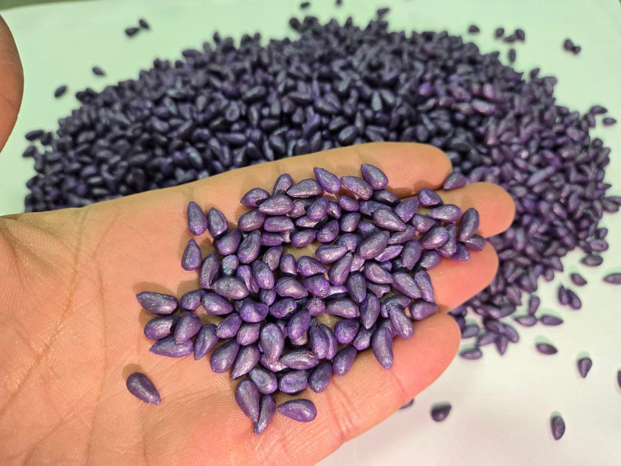 Jondor: “Bahodir Bekzod Asadbek” va boshqa fermer xoʻjaliklarida chigit ekish ishlari avjida