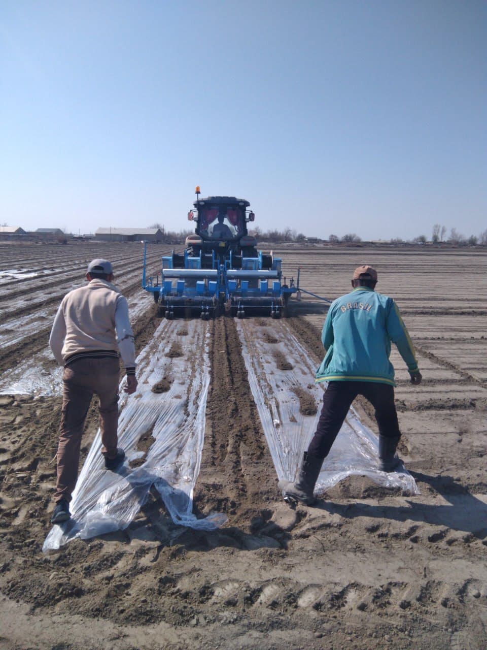Jondor: “Bahodir Bekzod Asadbek” va boshqa fermer xoʻjaliklarida chigit ekish ishlari avjida