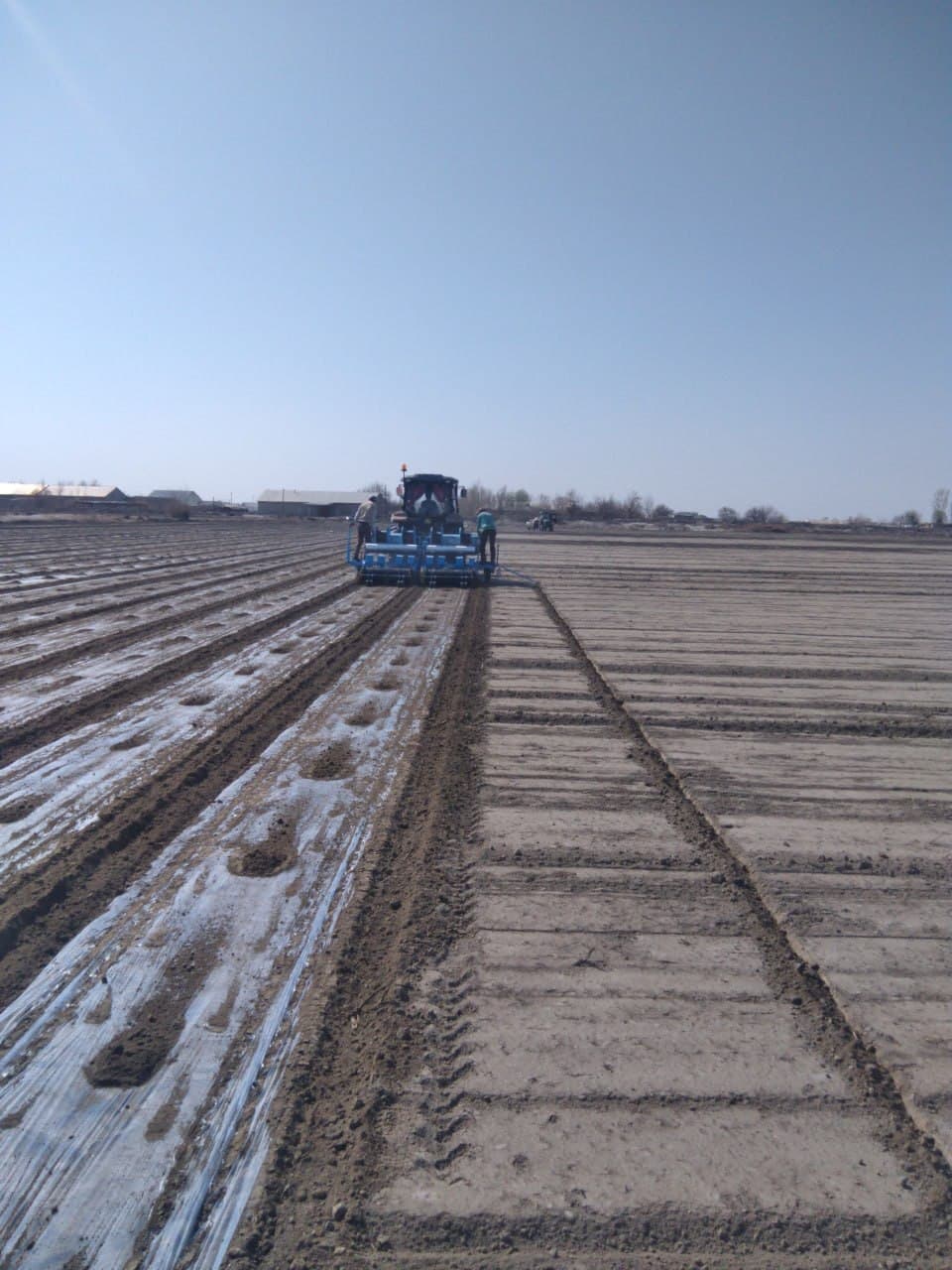 Jondor: “Bahodir Bekzod Asadbek” va boshqa fermer xoʻjaliklarida chigit ekish ishlari avjida