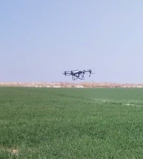 Kogon: "Kogon Axtam Aslbek" fermer xoʻjaligida ham gʻalla agrotexnik tadbirlari avjida