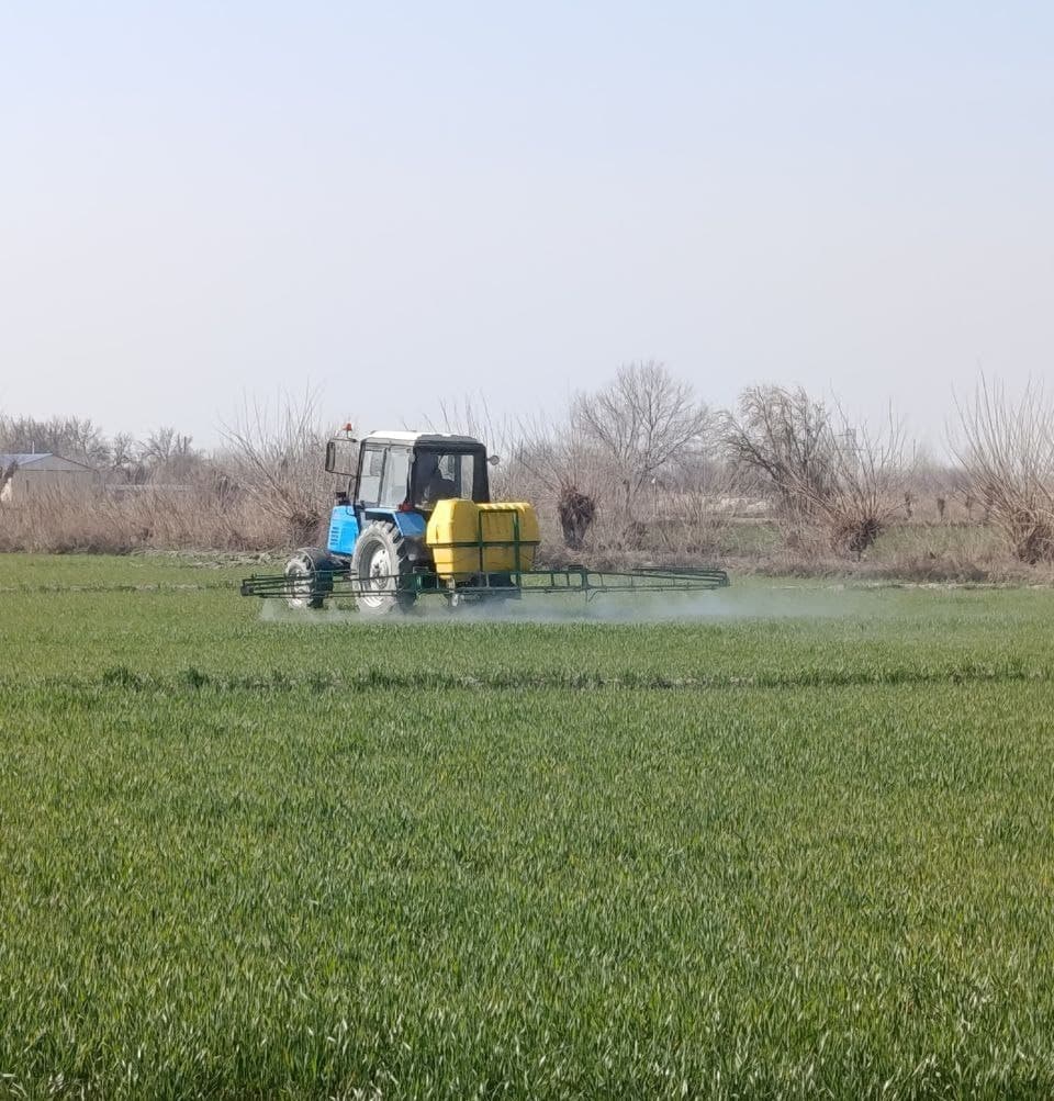 Kogon: "Kogon Axtam Aslbek" fermer xoʻjaligida ham gʻalla agrotexnik tadbirlari avjida