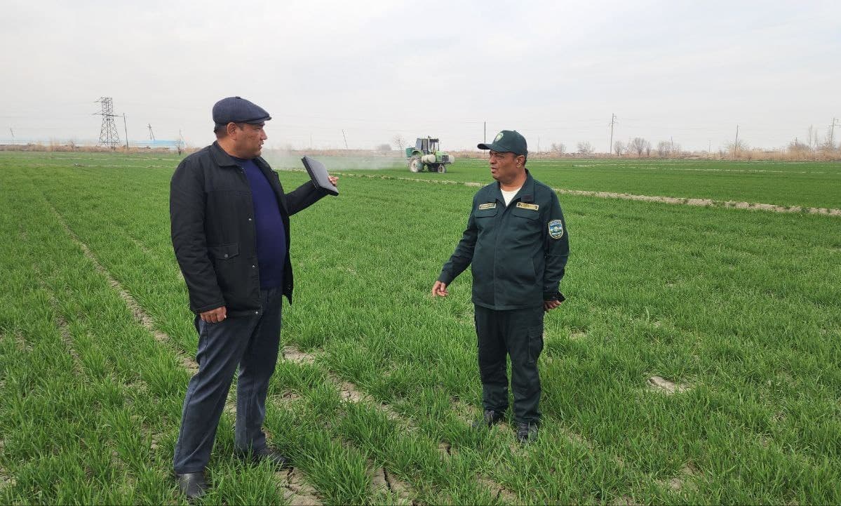 Kogon: "Kogon Axtam Aslbek" fermer xoʻjaligida ham gʻalla agrotexnik tadbirlari avjida