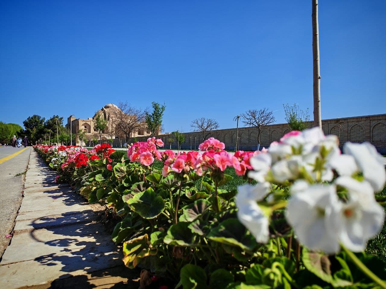 Kogon: temiryoʻlchilar tumani gulga burkanmoqda