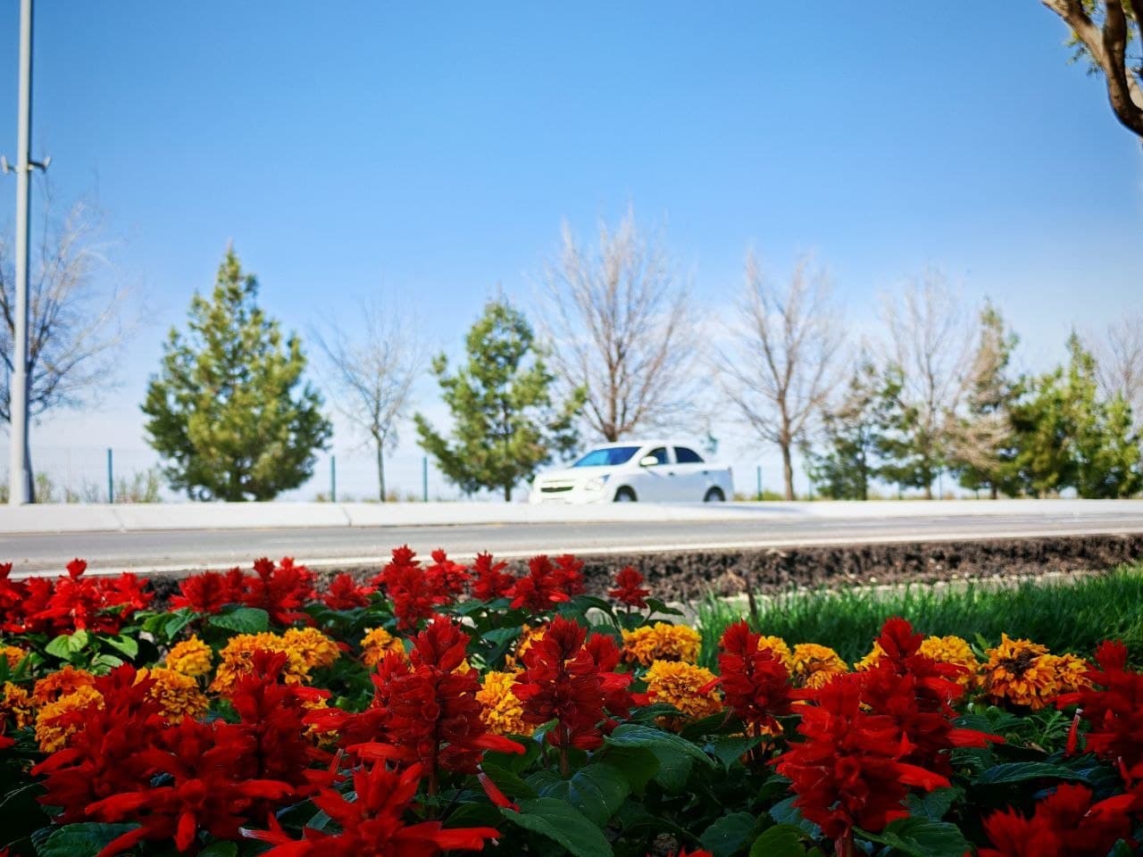 Kogon: temiryoʻlchilar tumani gulga burkanmoqda