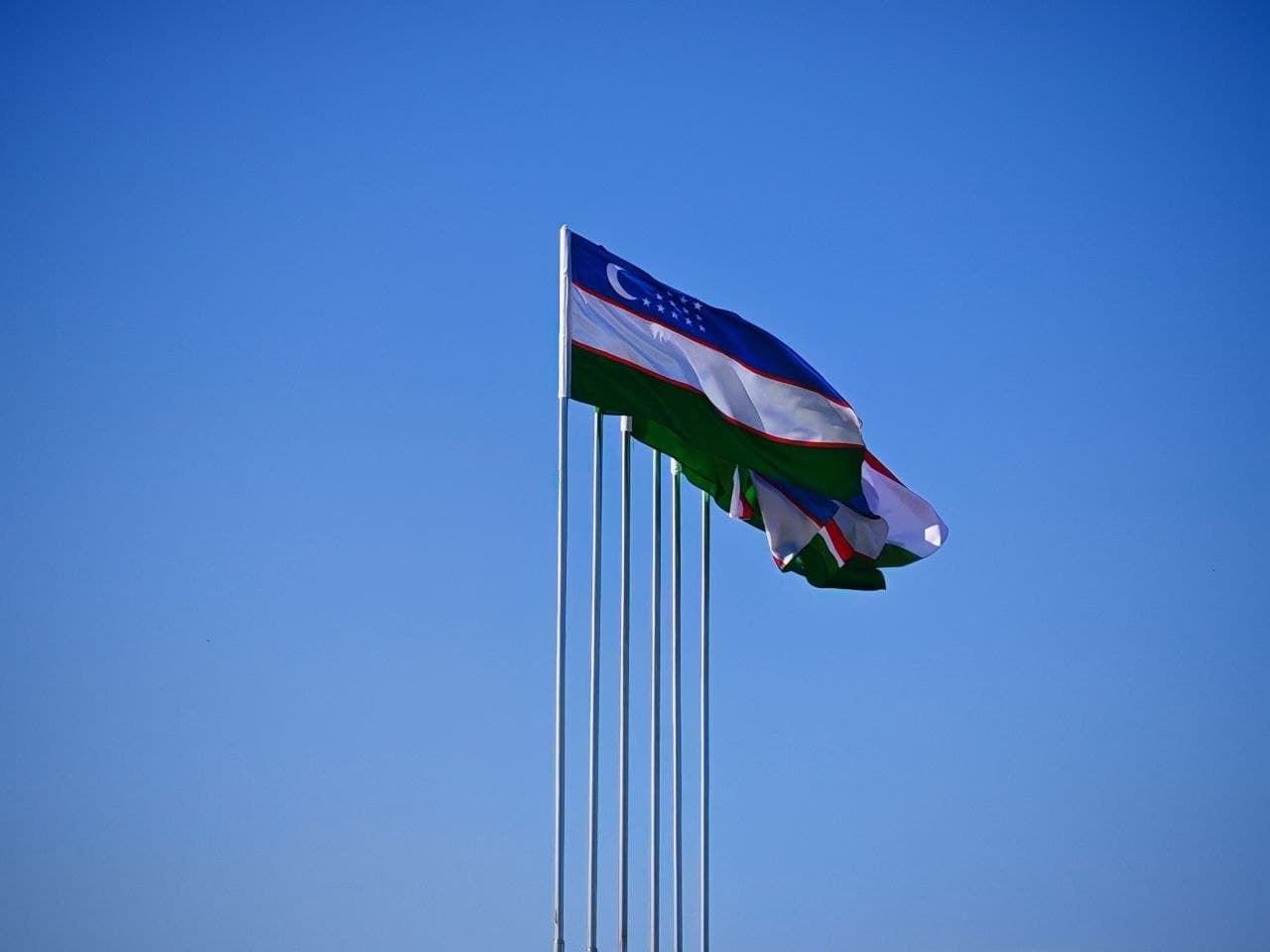 Kogon: temiryoʻlchilar tumani gulga burkanmoqda