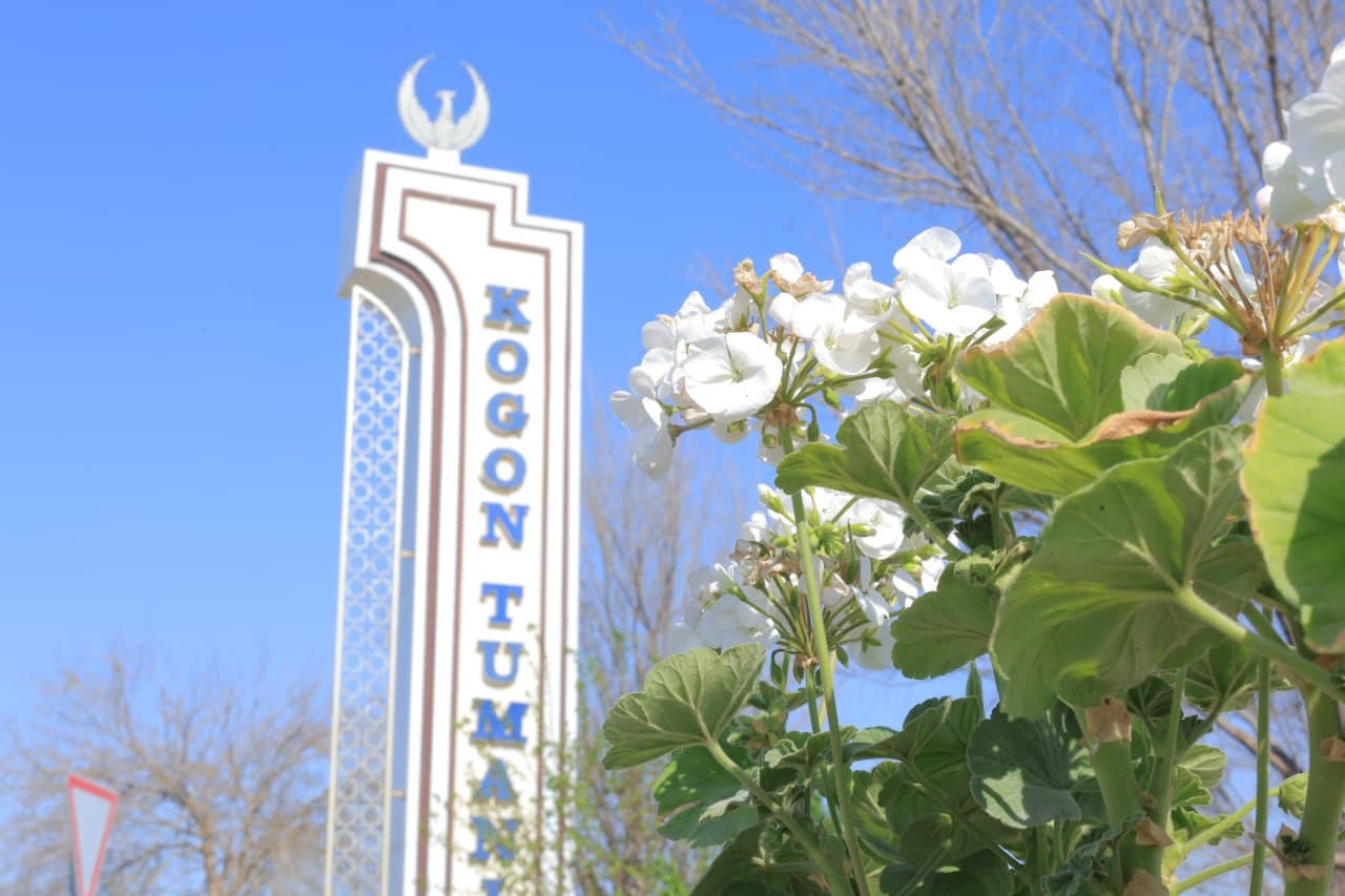 Kogon: temiryoʻlchilar tumani gulga burkanmoqda