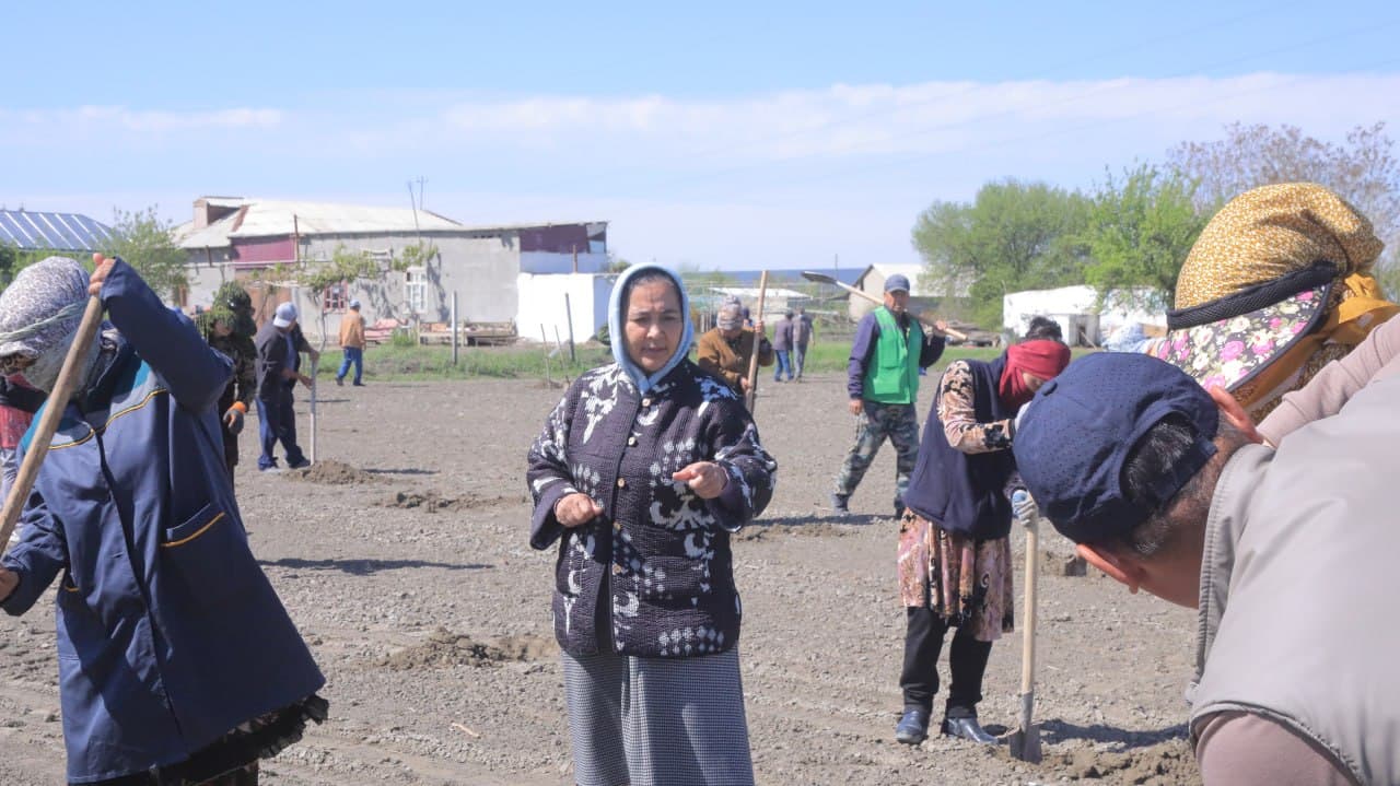 Олот: “Усмоншайх” маҳалласида 4 гектар ерда узумзор-токзор барпо қилинмоқда