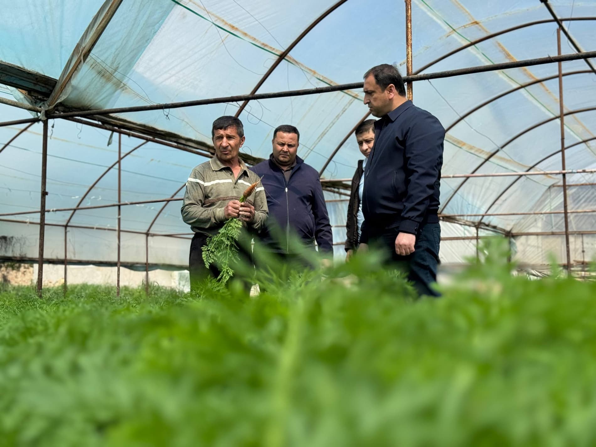 Shofirkon: tomorqada birgina hosilga 3 million so‘m sarflab, 30 million so‘m foyda ko‘zlanmoqda