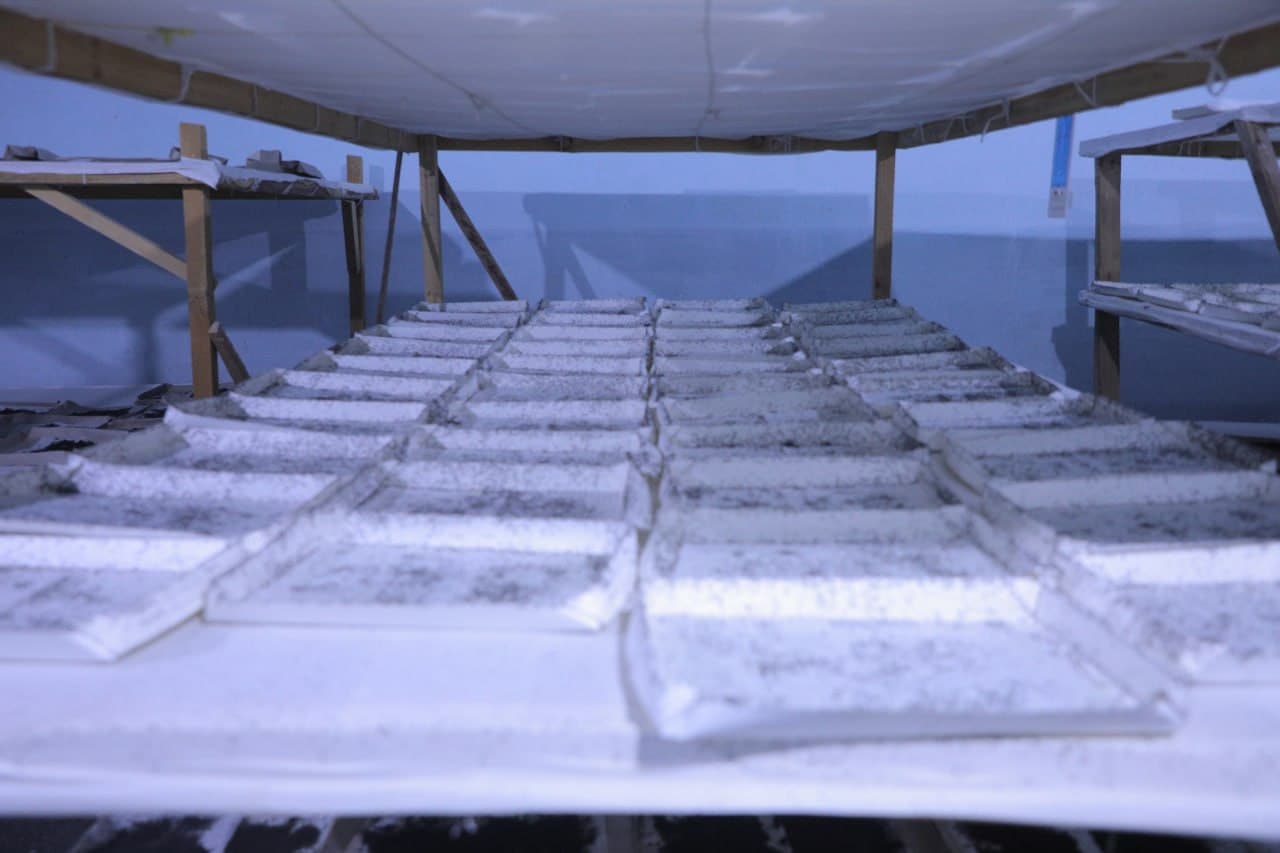 Пешку: ҳудуддаги 7 та инкубаторияда 3314 қути ипак қурти жонлантирилиб, манзили тарқатилди