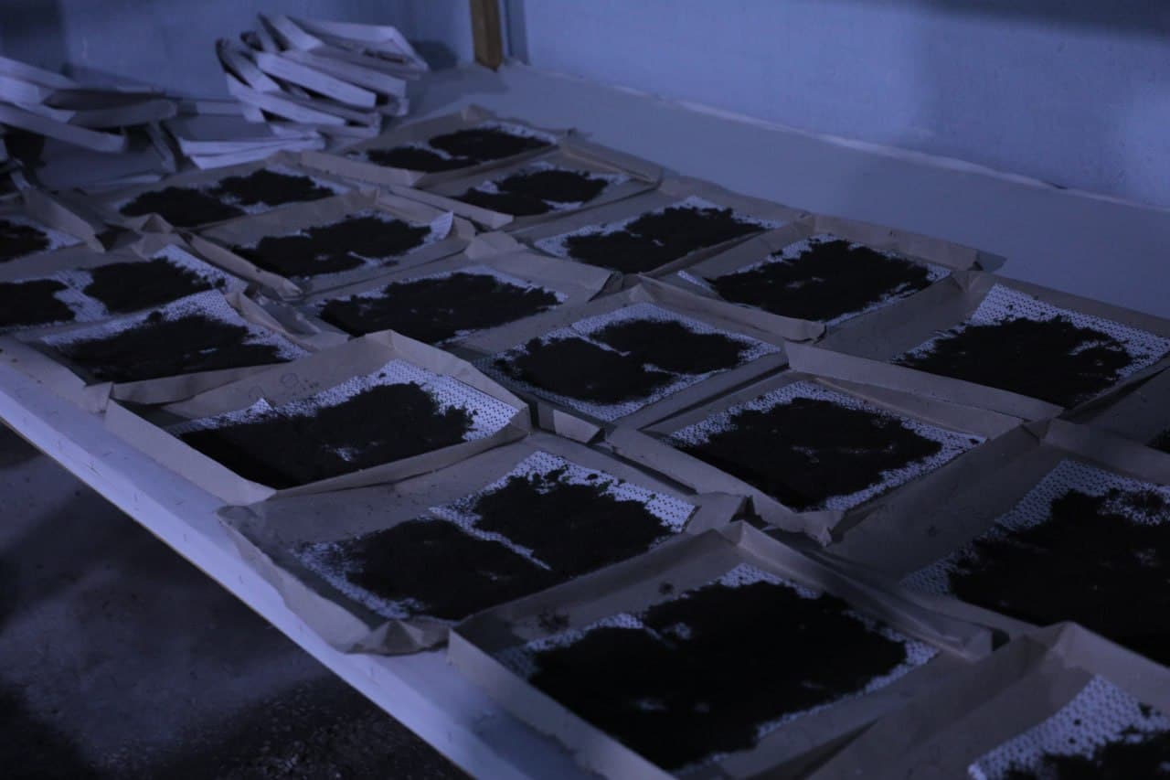 Пешку: ҳудуддаги 7 та инкубаторияда 3314 қути ипак қурти жонлантирилиб, манзили тарқатилди