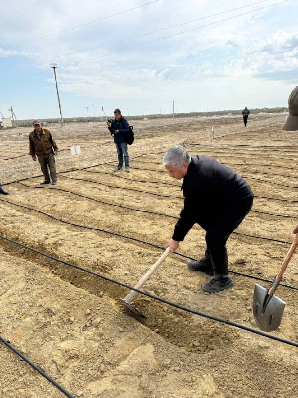 Қоракўлда шўр ва сувсизликка чидамли ўсимликлар—галофит боғи барпо қилинмоқда
