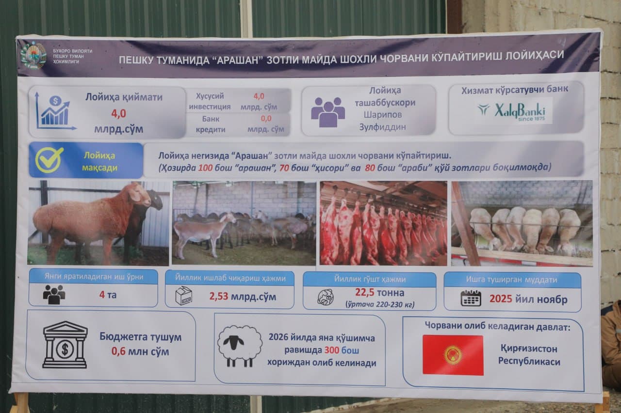 Пешку: “Мунира ая” фермер хўжалигида чорвачиликка оид кўргазмали семинари ўтказилди