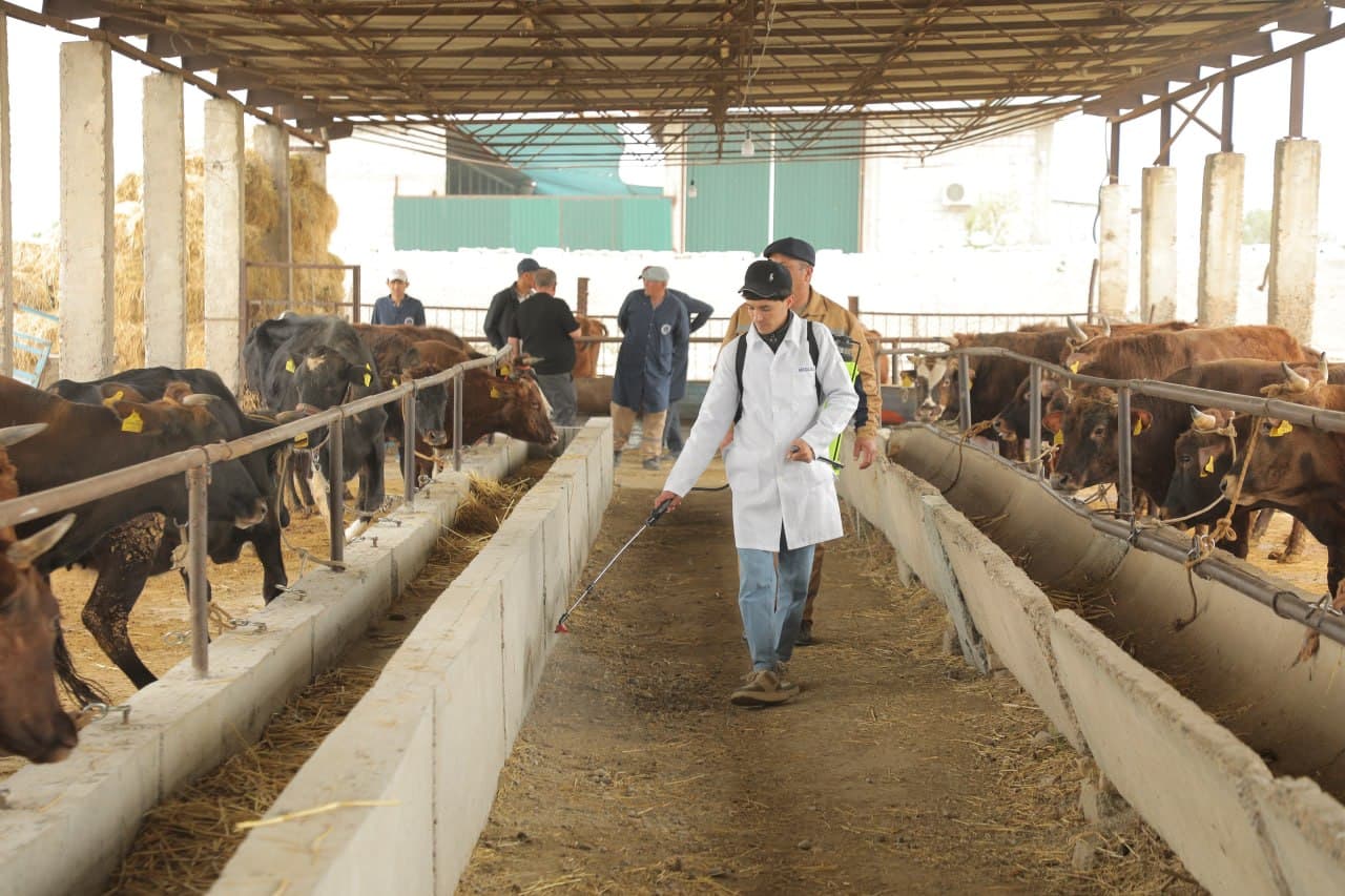 Пешку: “Мунира ая” фермер хўжалигида чорвачиликка оид кўргазмали семинари ўтказилди