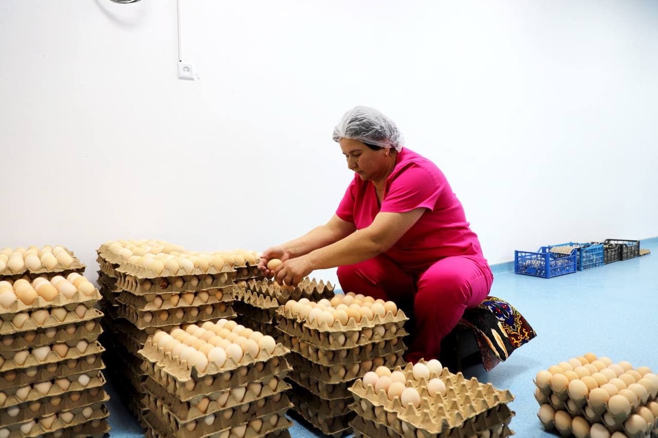 Buxoro tumani: umumta’lim maktabi bo‘sh turgan binolarida tadbirkorlik sexlari tashkil qilinmoqda