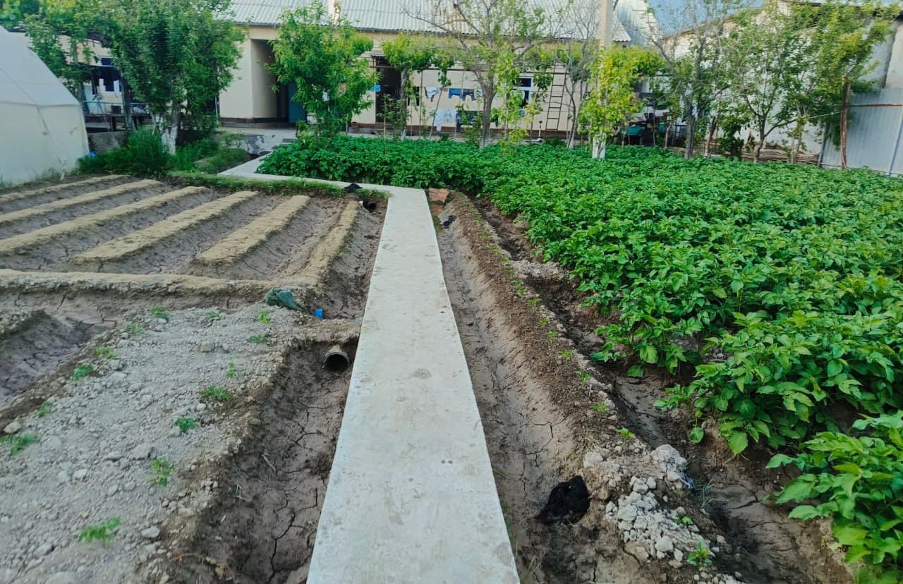 Olot: “Bo‘ribek Chandir” mahallasidagi Tohir Qurbonov uy xo‘jaligida ham qut-barakaga erishilmoqda