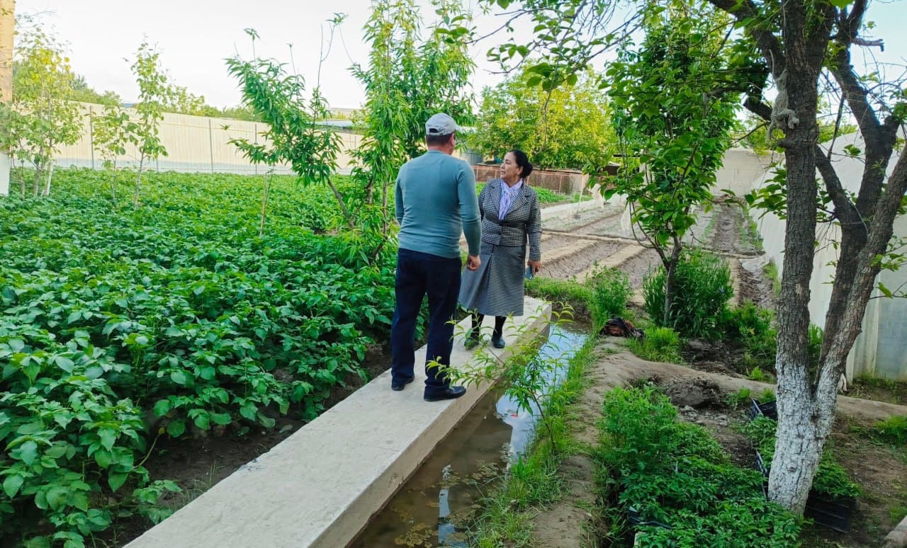 Olot: “Bo‘ribek Chandir” mahallasidagi Tohir Qurbonov uy xo‘jaligida ham qut-barakaga erishilmoqda