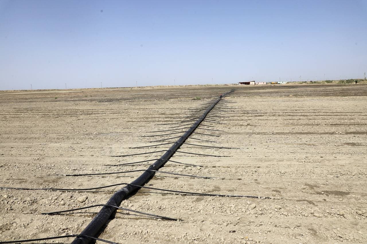 Buxoro tumani: “Qumsulton” cho‘l massivida zamonaviy agrotexnologiya asosida paxta yetishtirilаdi